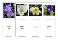 Blumen-Memo-Aufdeckspiel-2.pdf